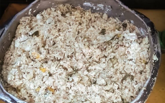 Stray Dogs Feeding Project