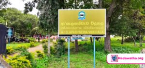 Distribution of School Equipment (Bags, Books, Shoes, Food) to Students in Rural Area School