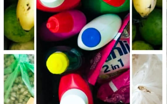 Donate for Lunch, Along with Various Fruits, Several Types of Grains, and Health Care Products for Children